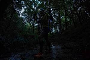 BIB: 
                            <button type="button" onclick="openModal(19243059)" class="btn btn-primary btn-sm float-right btn-popup" data-toggle="modal" data-target=".modal-high-quality">
                        <i class="fas fa-shopping-cart"></i> Add to Cart
                    </button>
                                            <button type="button" onclick="isThisMe(19243059, true)" class="btn btn-success btn-sm float-right btn-popup btn-isme hidden" data-toggle="tooltip" data-placement="bottom" title="นี่คือรูปของคุณใช่ไหม คลิกที่นี่เพื่อเอาเข้าอัลบั้ม">
                        <i class="fas fa-plus"></i> Add to album
                    </button>
                    <button type="button" onclick="isThisMe(19243059, false)" class="btn btn-warning btn-sm float-right btn-popup btn-isnotme hidden">
                        <i class="fas fa-ban"></i> Remove from album
                    </button>